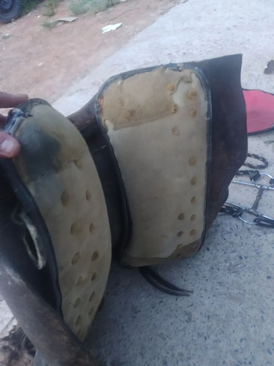 Sela de chifre  - Foto 4