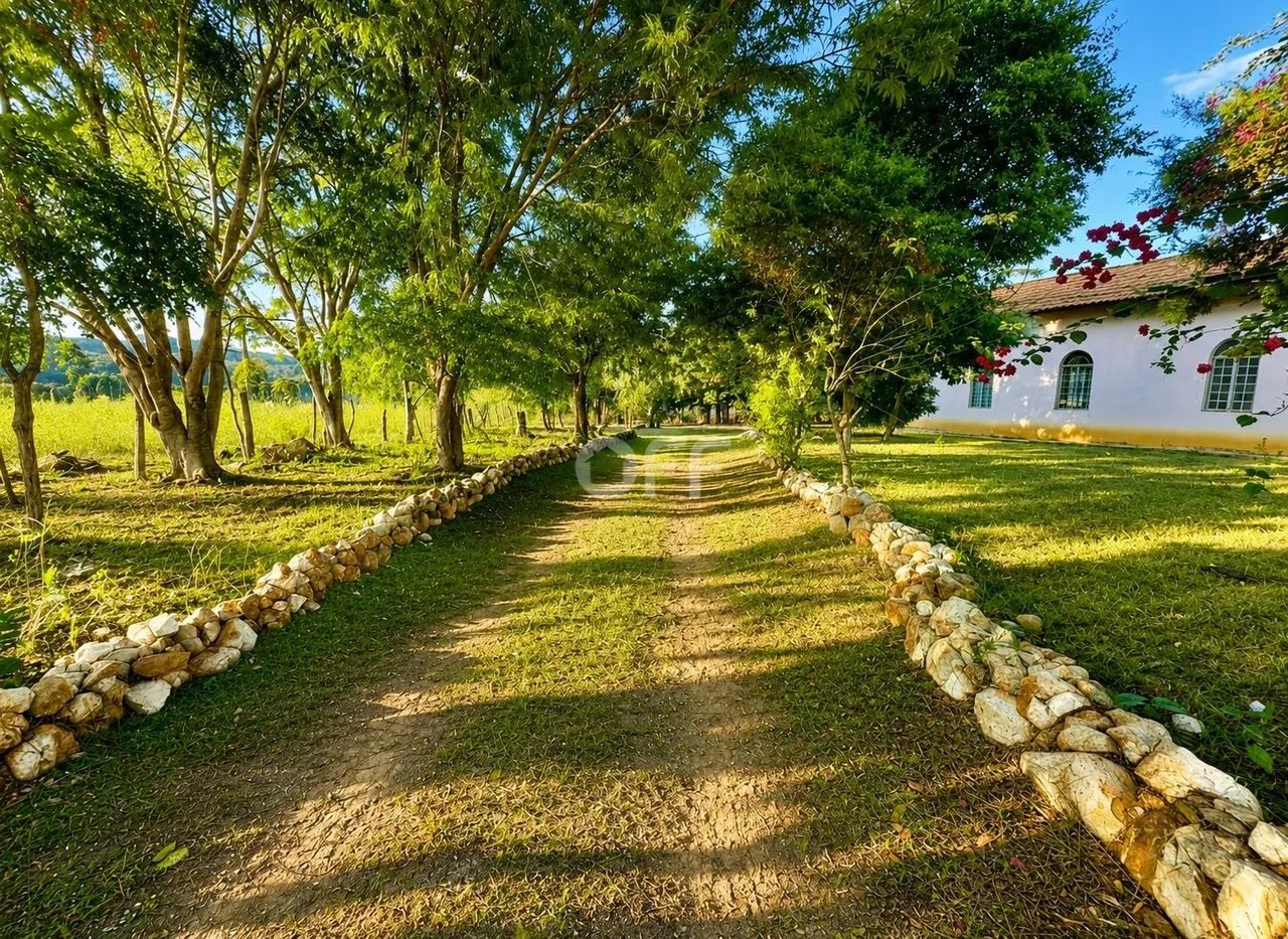 fazenda - Vale das Cancelas - Grão Mogol - Foto 5