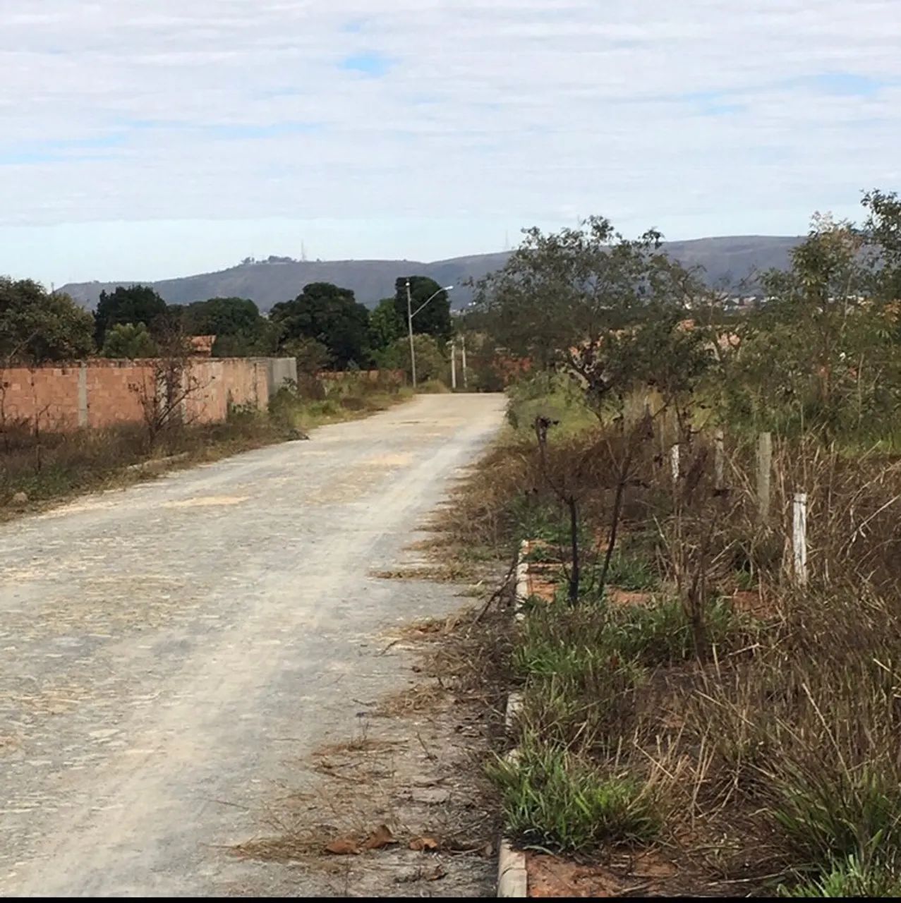 Lote  - Foto 3