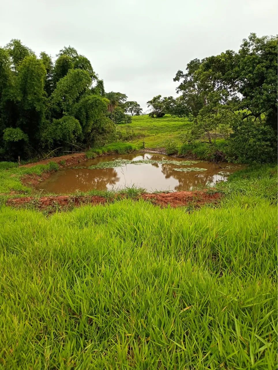 Fazenda pra pecuária em campina verde  - Foto 3