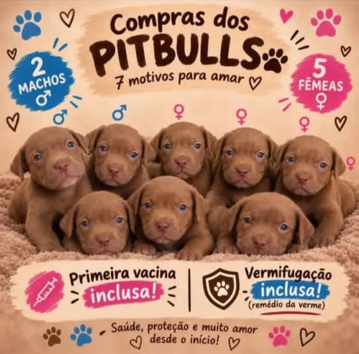 PITBULL 