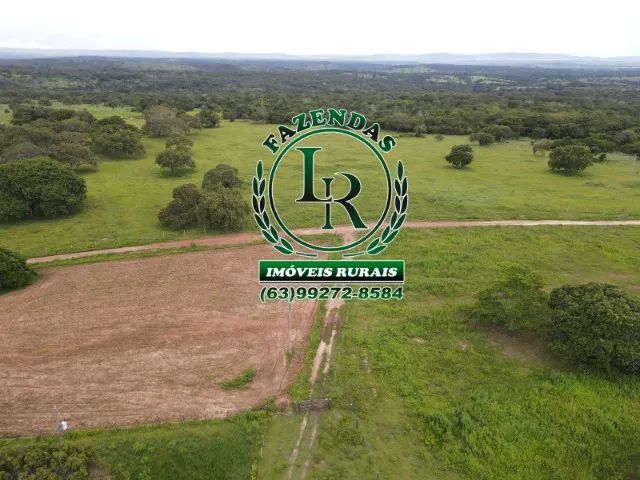 Fazenda 183 hectares, Próximo a Paraiso do Tocantins