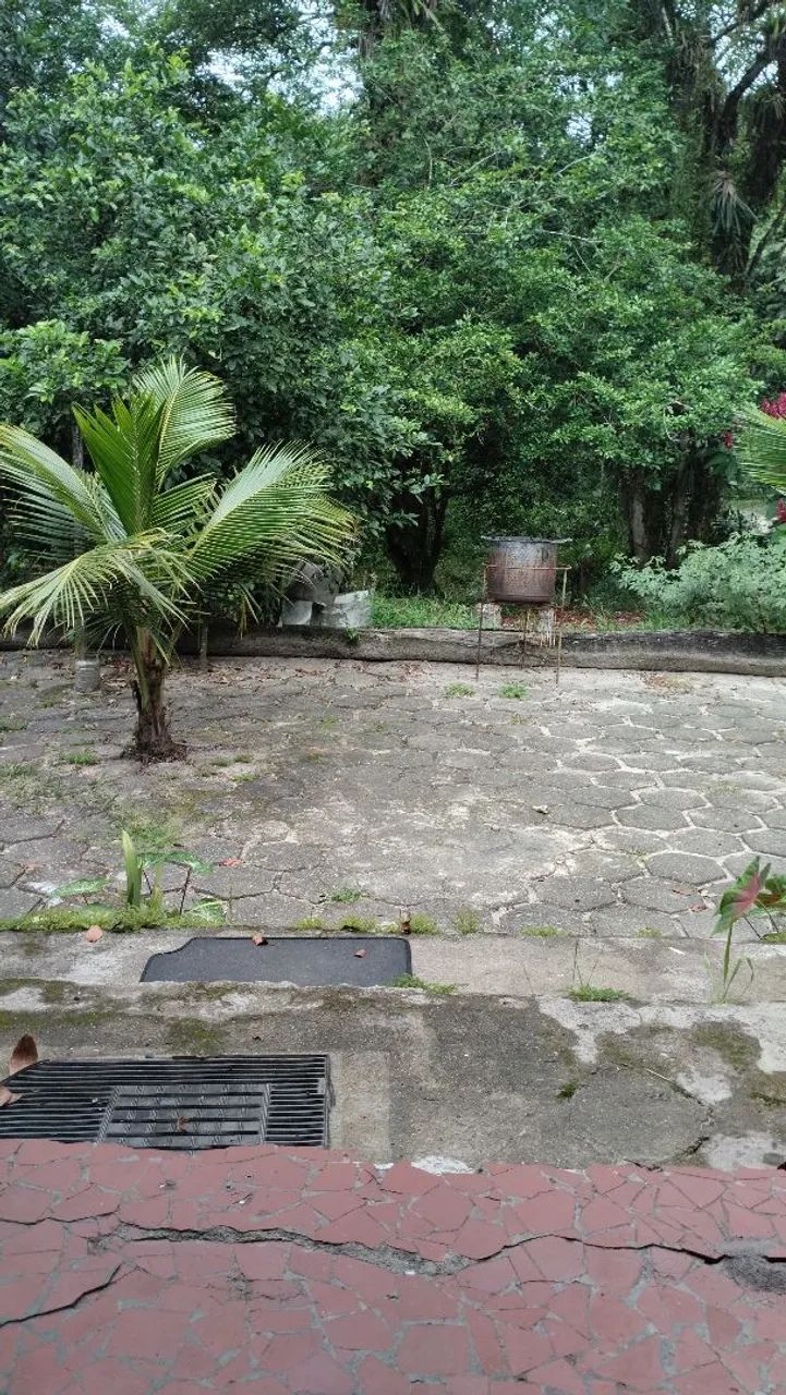 Ocasião  - Foto 3