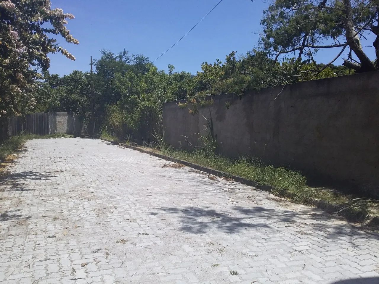 Foto - Armação dos Búzios - Caravelas