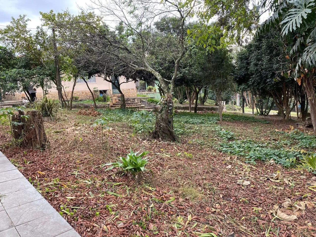Terrenos e Áreas a venda - Serraria - Foto 3