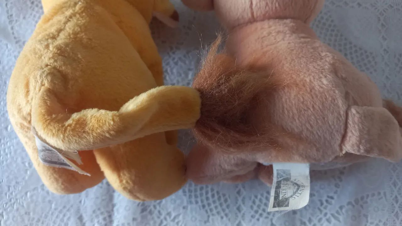 Rei Leão, Simba e  Nala  - Foto 2