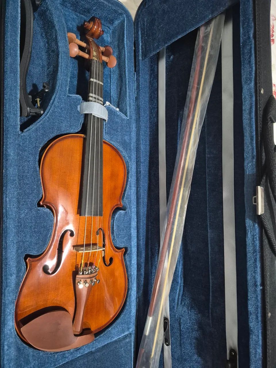 Violino