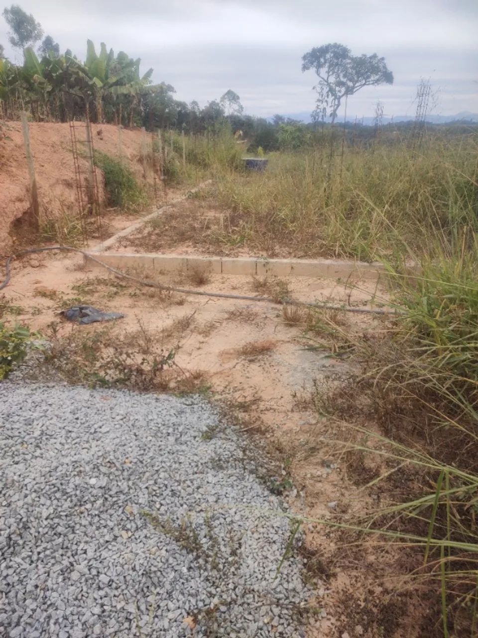 Terreno 