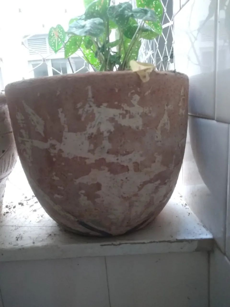 Vasos de Planta - Foto 2