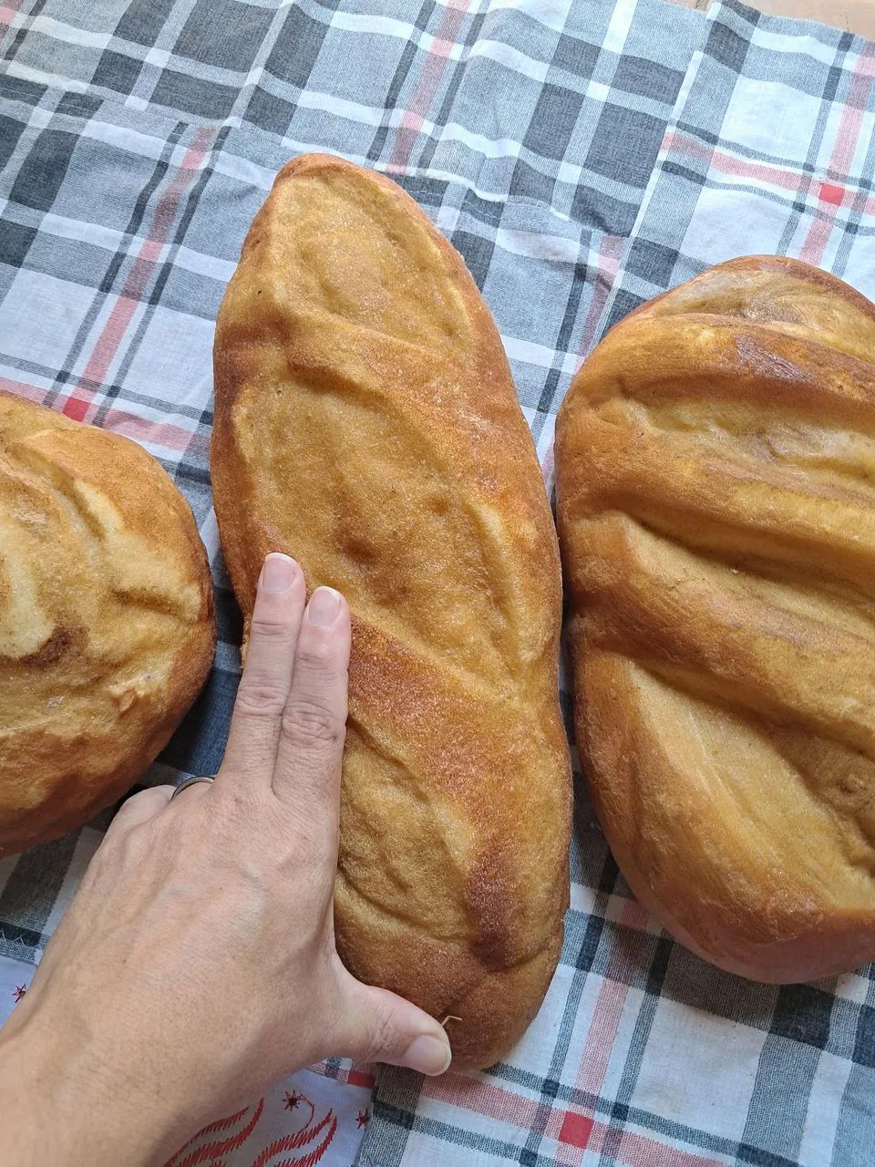 Pão artificial  - Foto 5