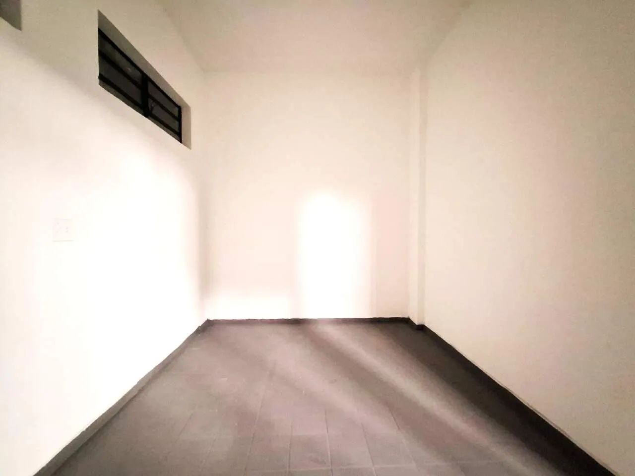 Barracão 236 m² Parque Hipólito - Foto 3
