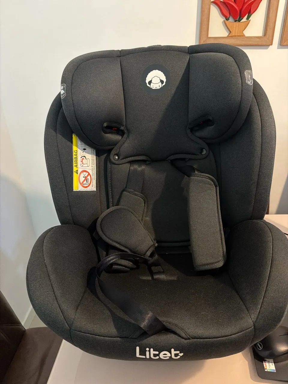 Cadeirinha para carro 