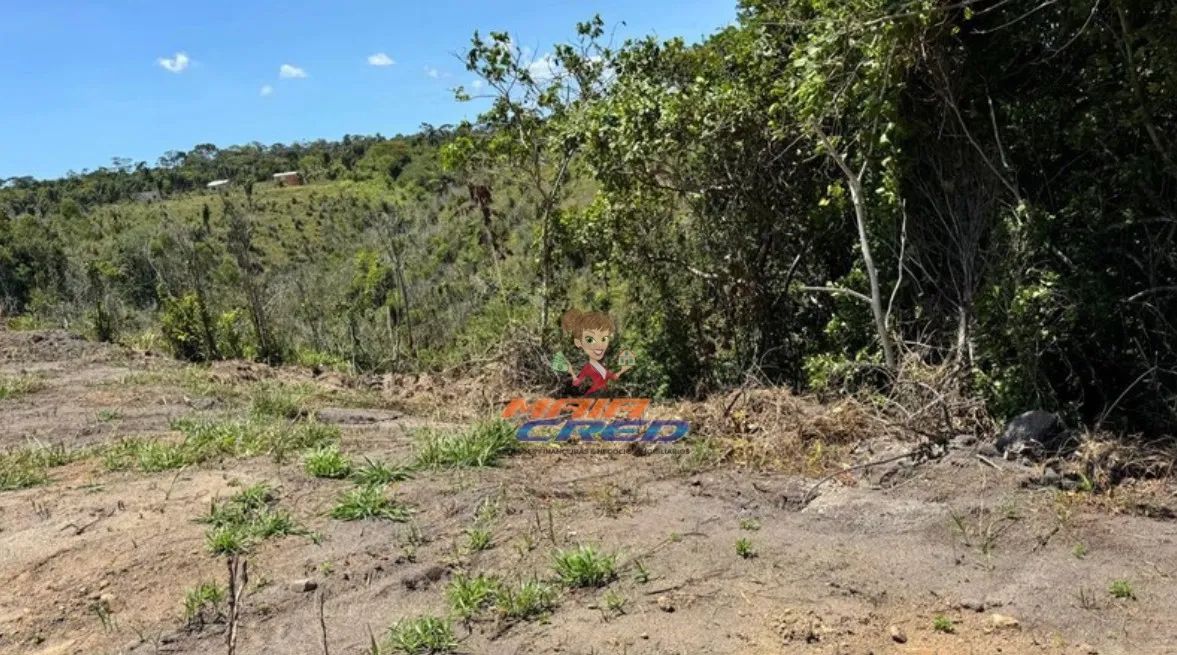 Lote para Venda em Santa Cruz Cabrália, Mutari - Foto 5