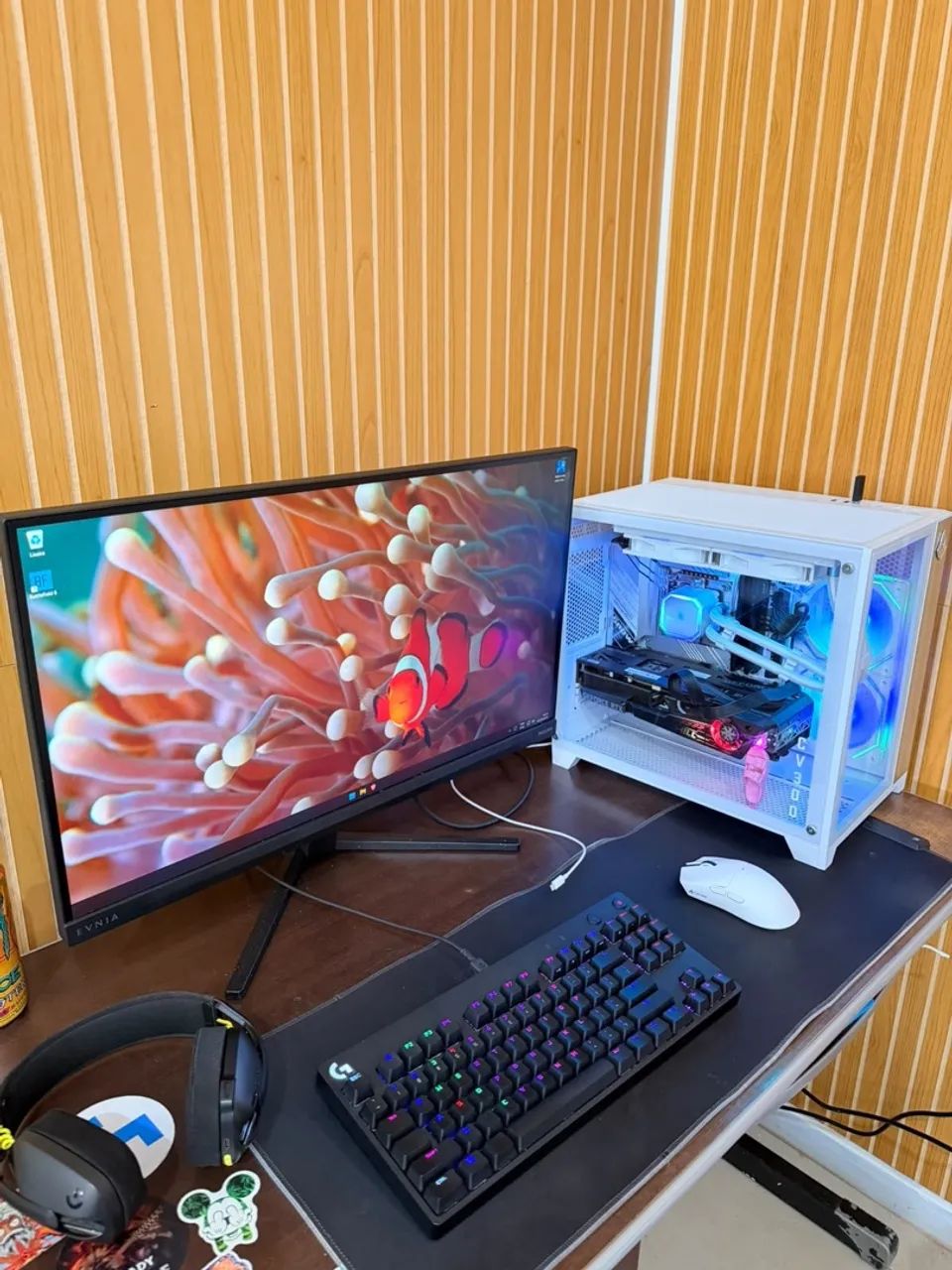 Pc Gamer Completo