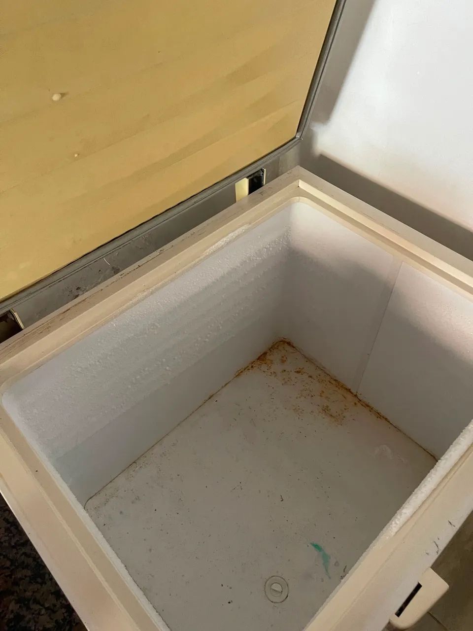 Freezer Electrolux  - Foto 4