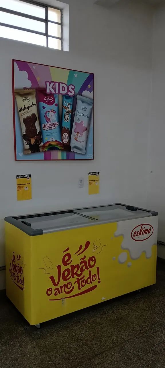 Aluguel de Freezer - Foto 3