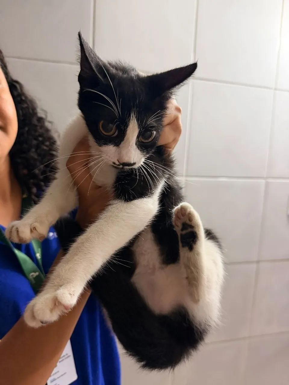 Doação responsável  - Foto 2