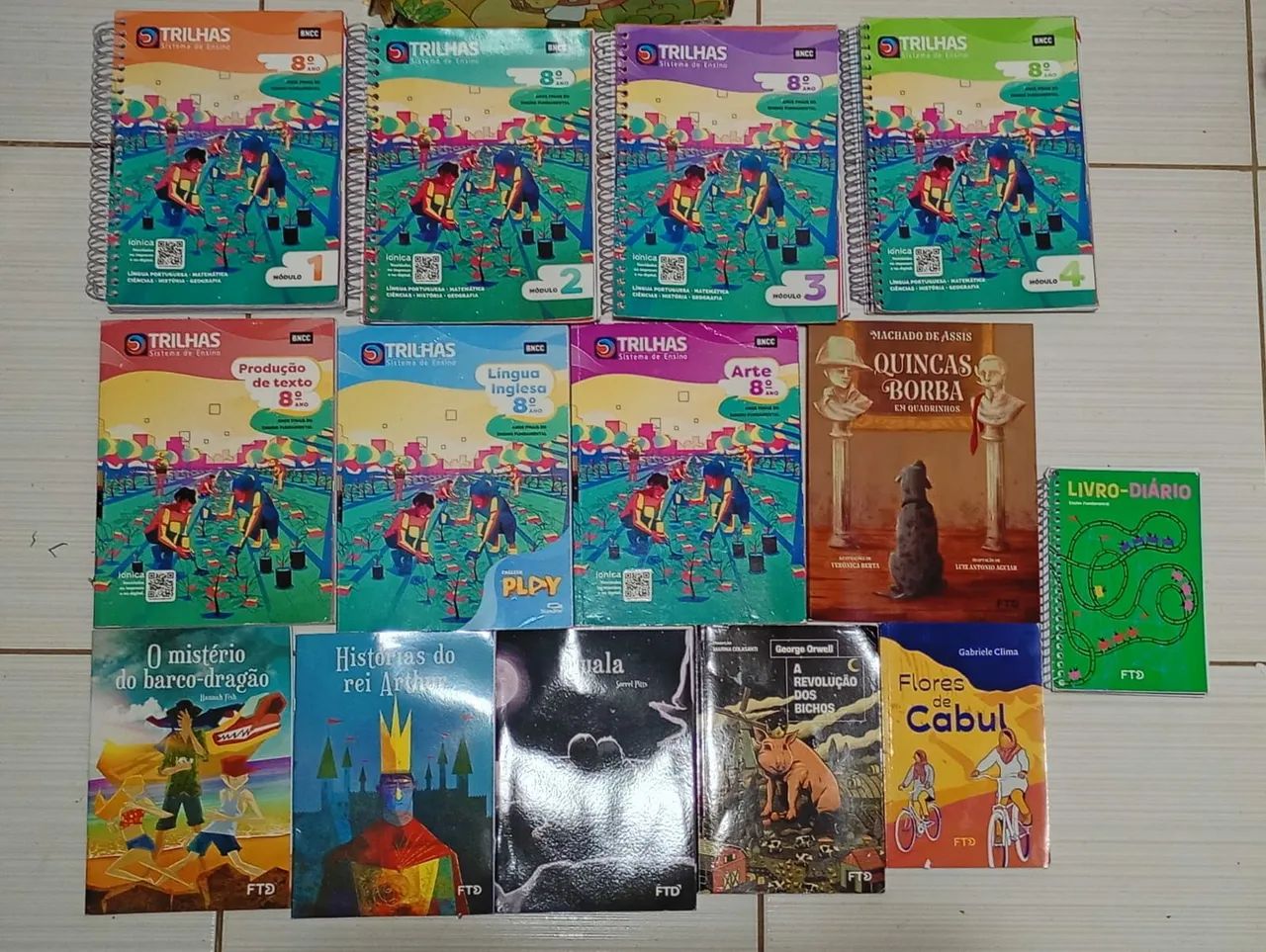 Grade 8 Module - FTD422024251641047040