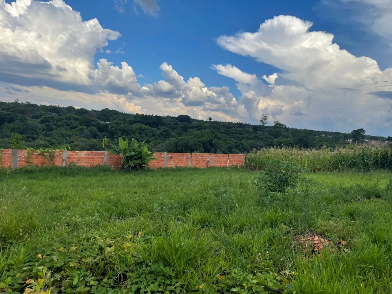 Terreno de 500m e 1000m em Araçoiaba da Serra, bosque dos eucaliptos