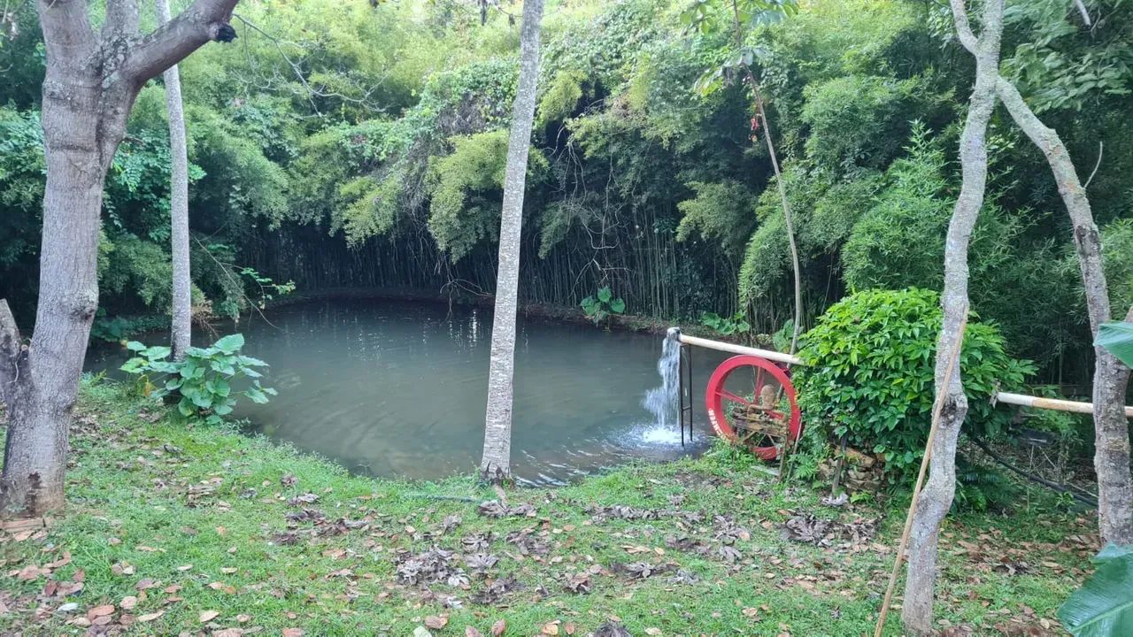 Imóvel para venda tem 400 metros quadrados com 6 quartos - Foto 2