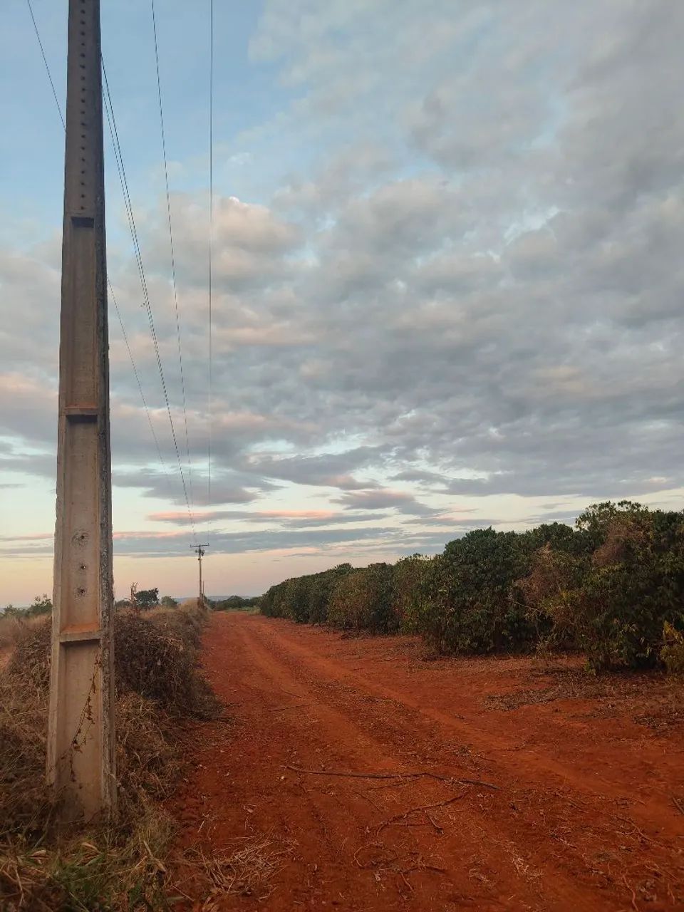 FAZENDA DE CAFÉ COM ALTA PERFORMANCE COM 470HEC, NA COMARCA DE PRESIDENTE OLEGÁRIO - Foto 5
