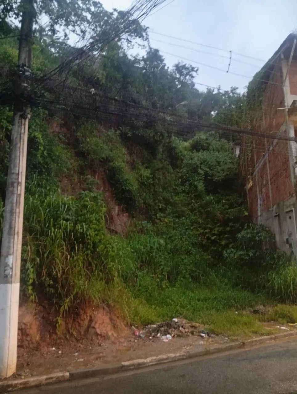 Foto - Cajamar - Paraíso (Polvilho)