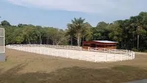 Vendo lindo lote para sítio  - Foto 2