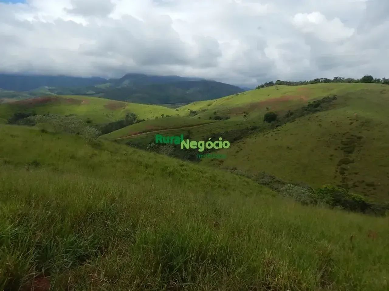 SÍTIO FORMADO COM LAGOS E PASTO Á VENDA EM APARECIDA-SP - Foto 5
