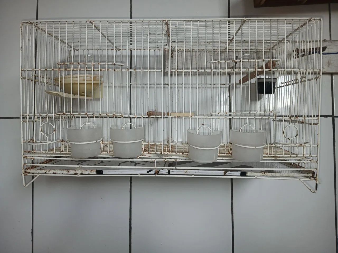 Gaiola 