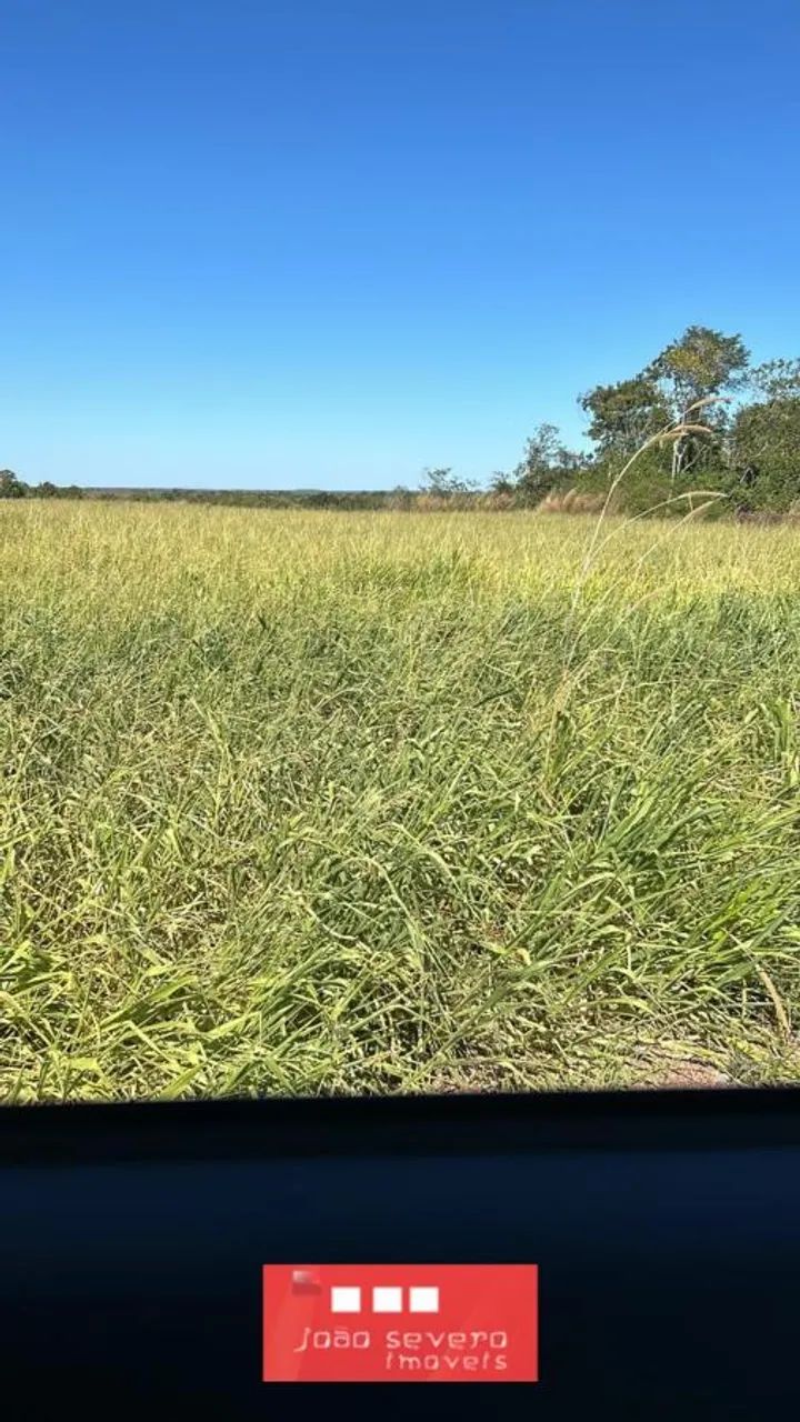 Fazenda para Venda em Santa Rita do Tocantins - Foto 4