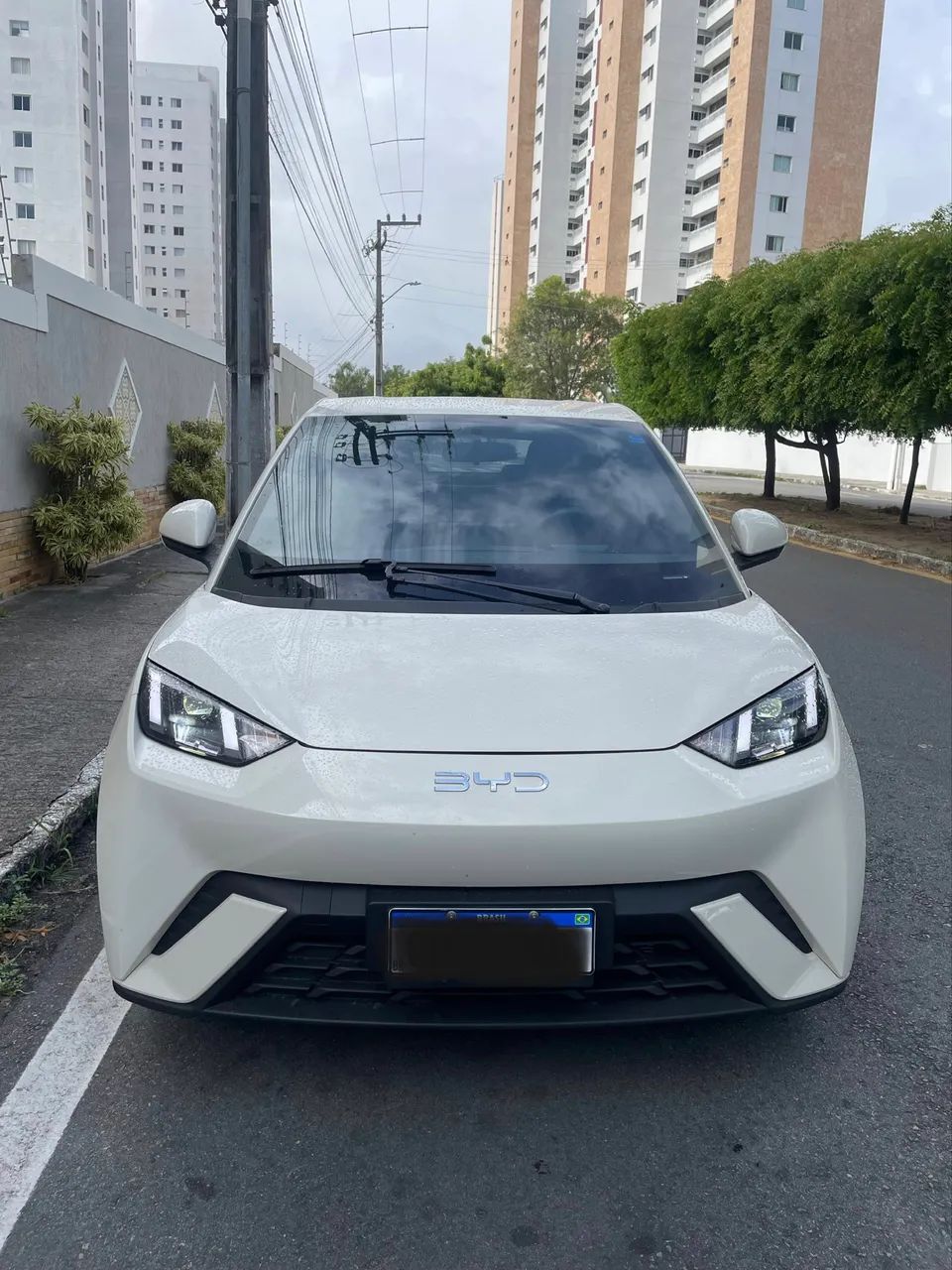 BYD Dolphin Mini (Elétrico) 2025