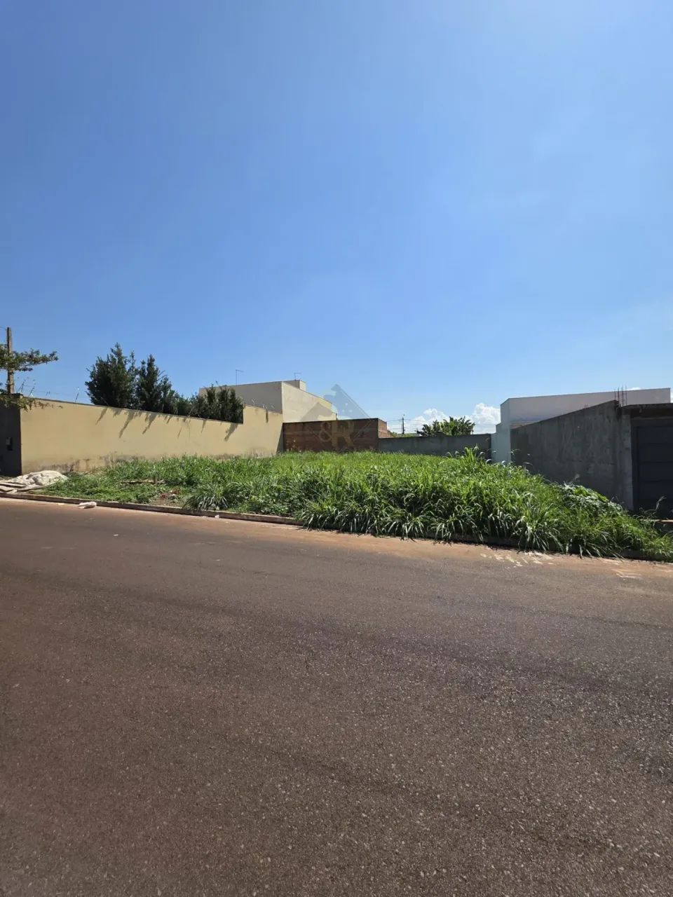 Terrenos LoteTerreno em Sertãozinho - Foto 5