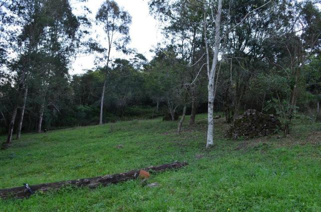 Sítio rural à venda, vale dos pinheiros, gramado. - Foto 8