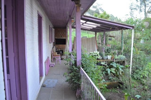 Sítio rural à venda, vale dos pinheiros, gramado. - Foto 13