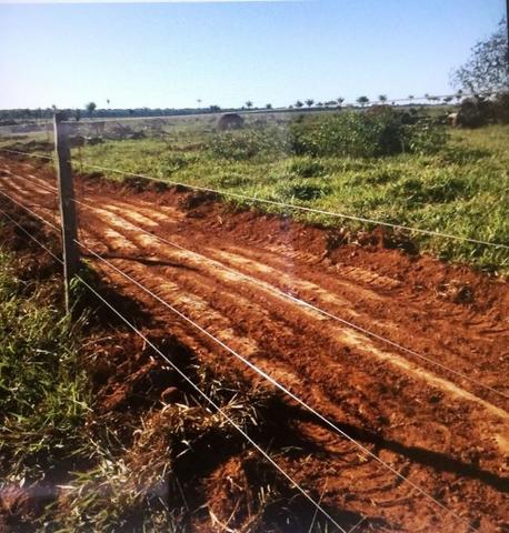 Fazenda 15000 ha 150 Km Sorriso MT - Foto 4