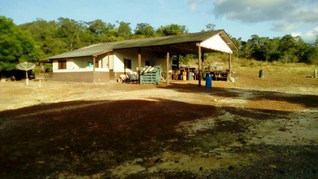 Fazenda 7900 ha Alta Floresta MT - Foto 11