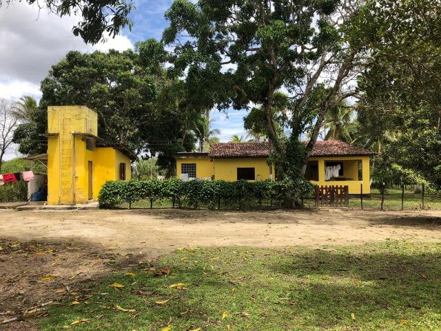 Propriedade de 10.5 hectares, escriturada, com casa sede em Paudalho-PE - Foto 15