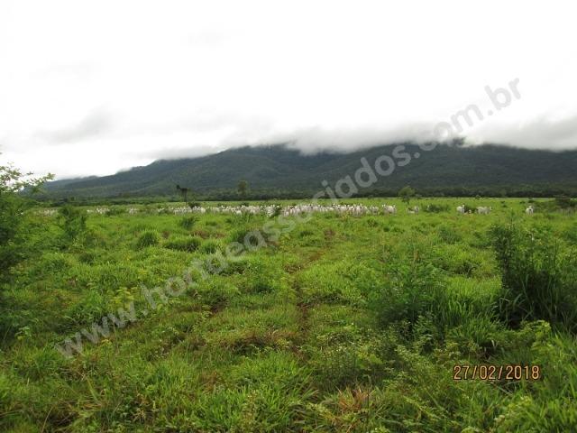 Fazenda com 881 hectares em Corumbá-MS para agricultura e pecuária - Foto 10