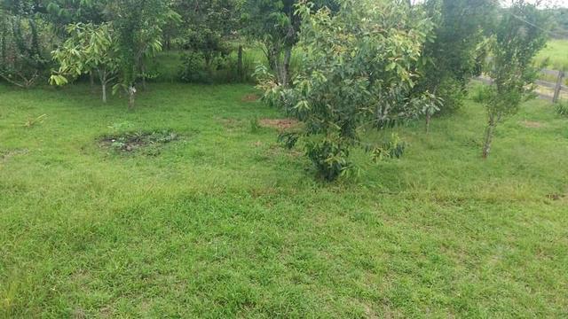 Venda essa chácara - Foto 3