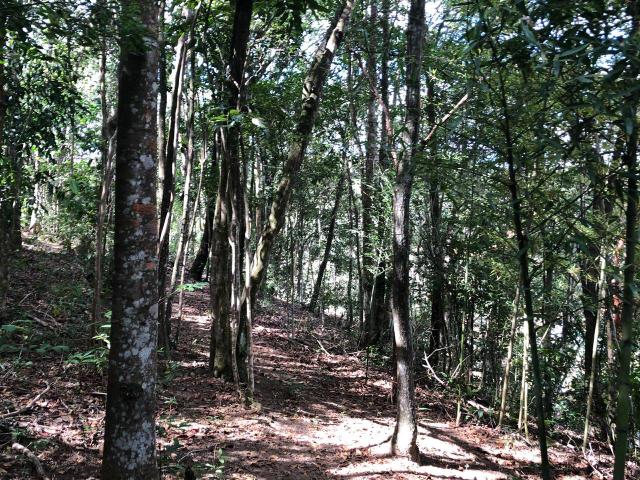 Terreno para Sítio em Esmeralda - Foto 6