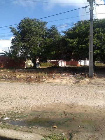 Lotes á venda prox. sítio s. João - Foto 3
