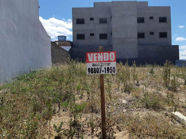 Terreno