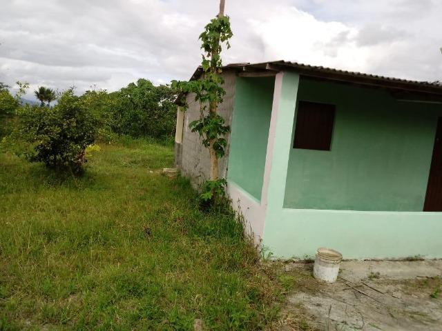 Vendo sítio - Foto 4