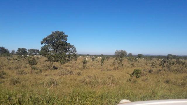 1250 Alq. Pra Cana Oferta Prazo Com Entrada Plana Vermelha Bem Montada MG - Foto 8