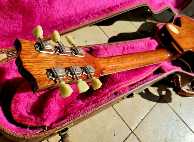 Grassroots por ESP G-Sf-61 Strat Tipo Grass raíces Guitarra Eléctrica 