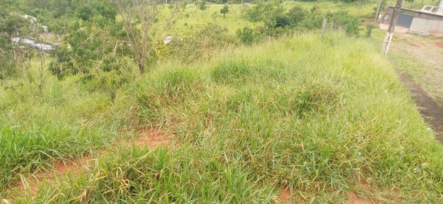 T351 - Lote semi plano com 480 m2 - Foto 3
