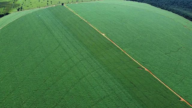 Fazenda de Primeira  - Foto 4