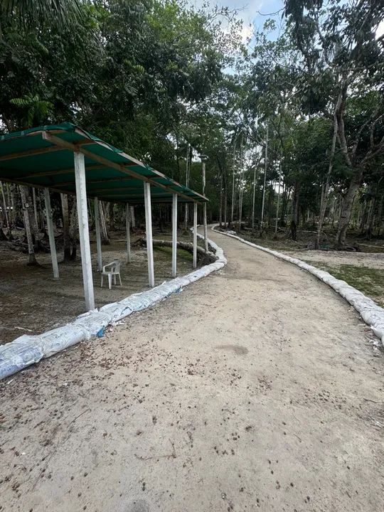 Sítio no ramal do brasileirinho  - Foto 4