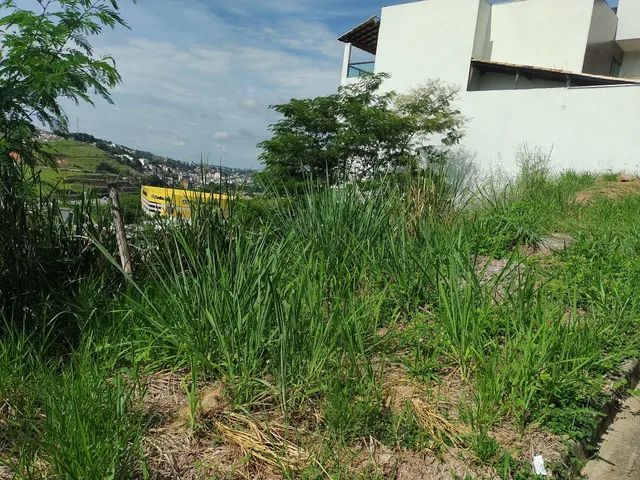 Oportunidade Vende-se Lote Iguaçu  - Foto 2