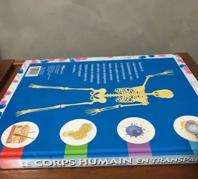 Livro Corpo Humano - Foto 4